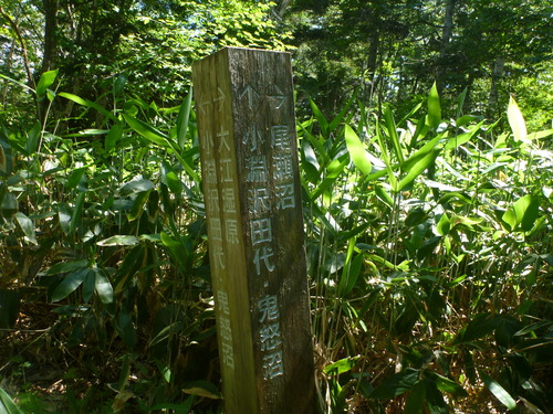P1070993