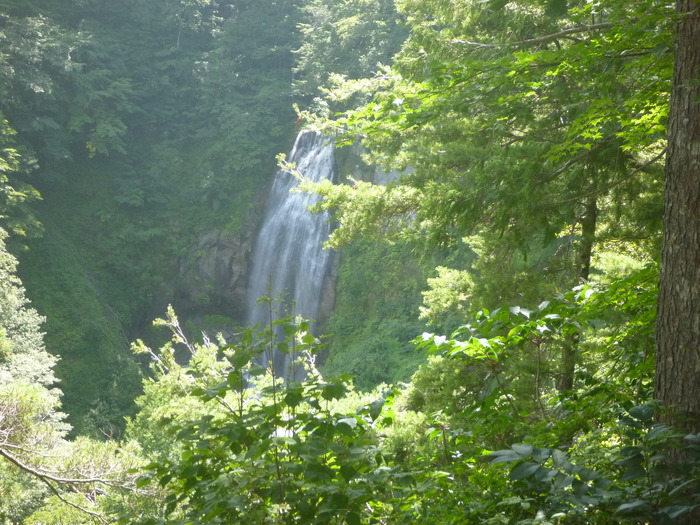 P1020512