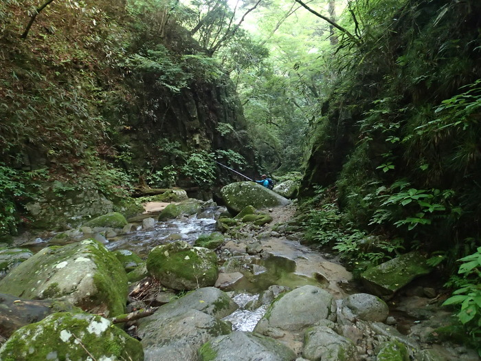 P7081074
