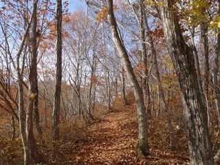 PB050050_R