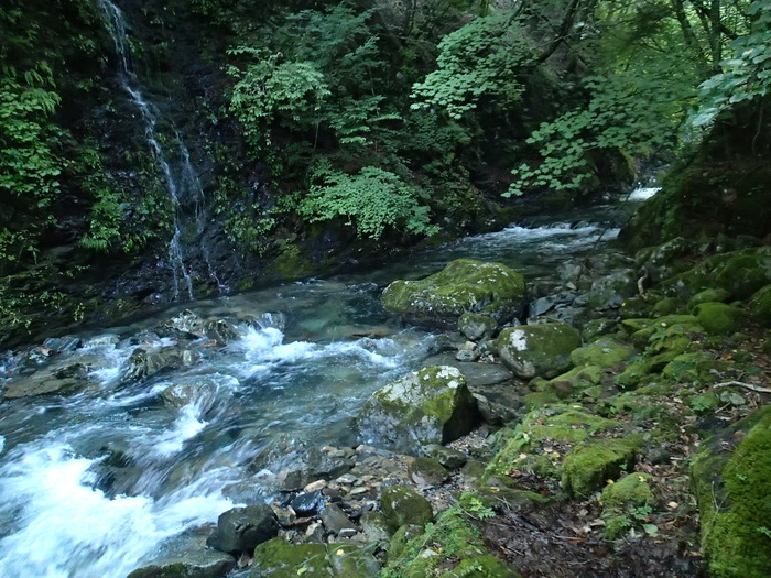 P8121241