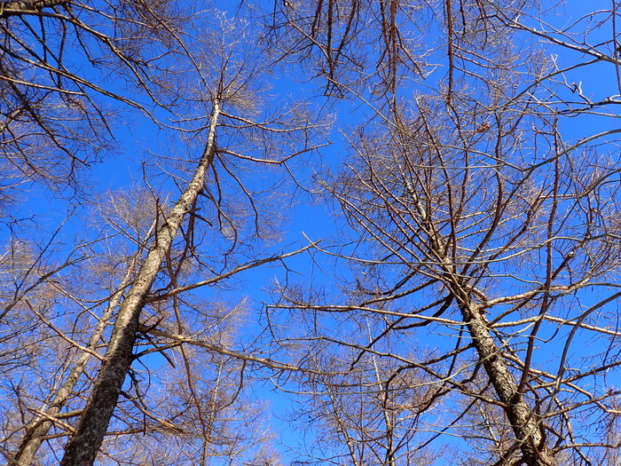 P2030003
