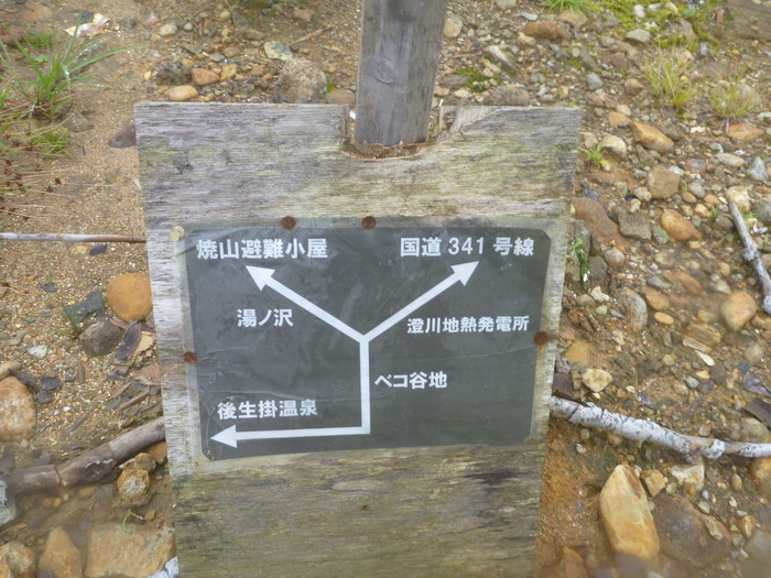 P1020493
