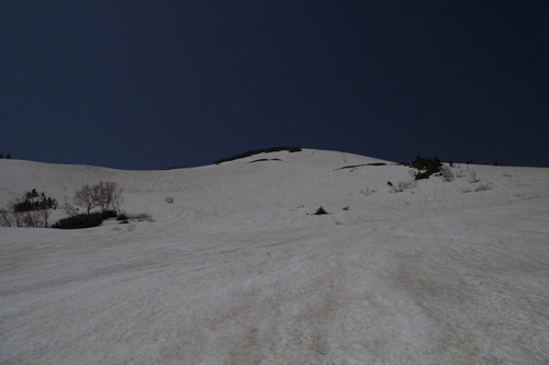 IMGP2056
