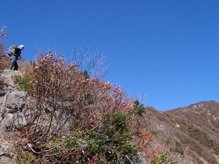 PA290017_R
