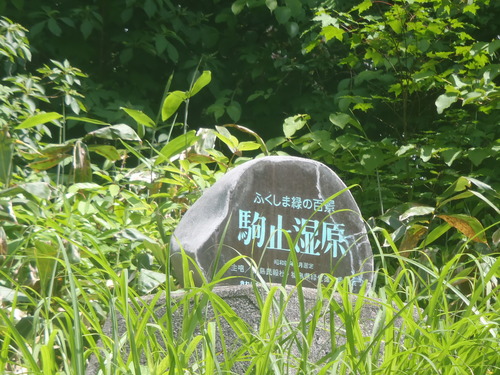P6300074