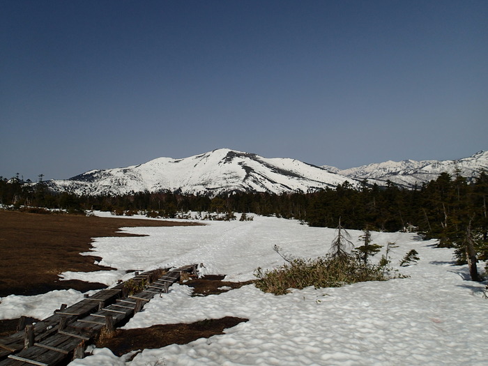 P4290590