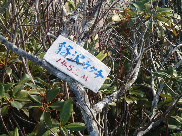 PA281859