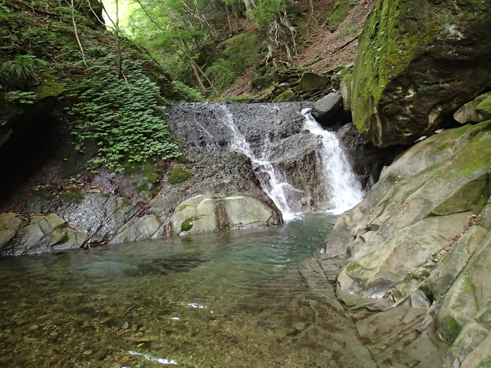 P6301051