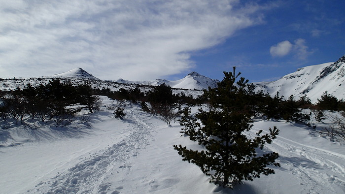P2030074