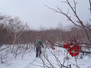 PC310009_R