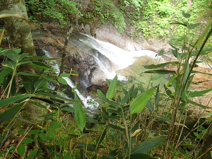 P7273356