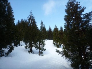 P1010544_R