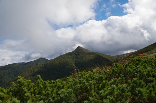 IMGP3742
