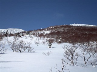 110129_104216_import_R