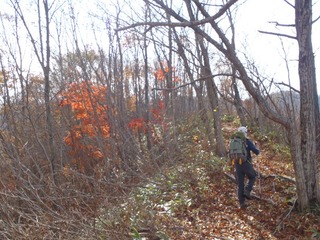 PB050075_R