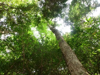 P1010875_R