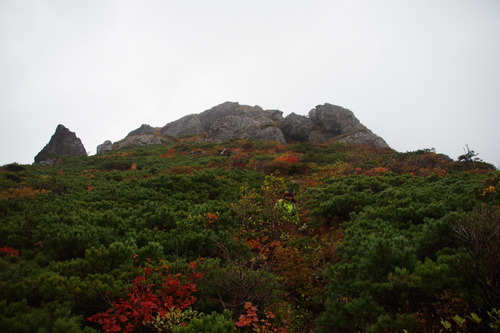 IMGP4095