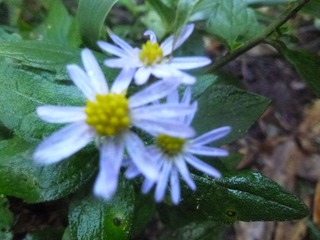 P1000645_R