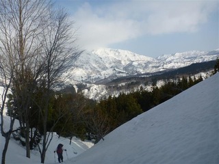 110410_080242_import_R