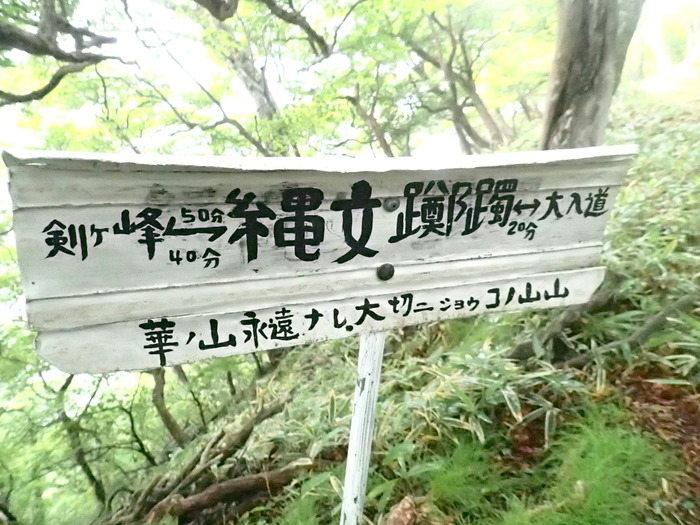 P6293203