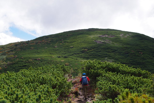 IMGP3744