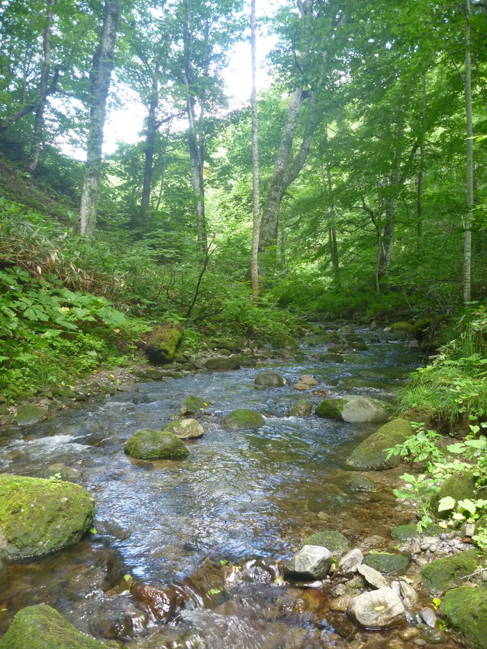 P1020501