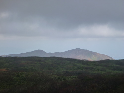 P1050132