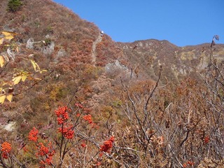PA290013_R