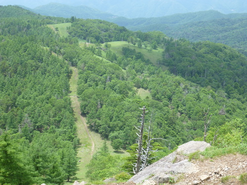 P1010459