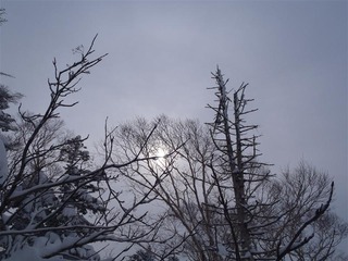 P1220029_R