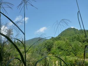 P1000561_R