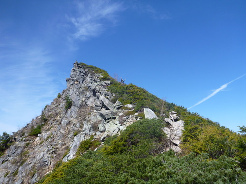 P1020678