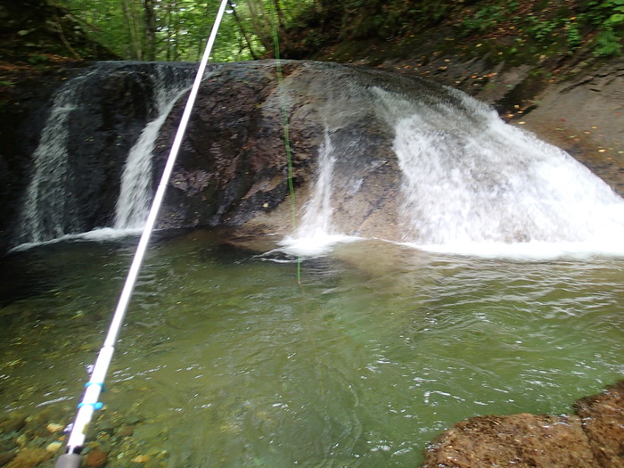 P7273355