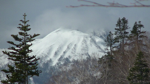 PIC_0005