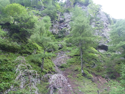 P1010501