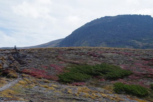 IMGP3828
