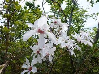 110604_104122_import_R