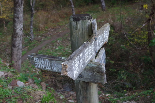 IMGP1636