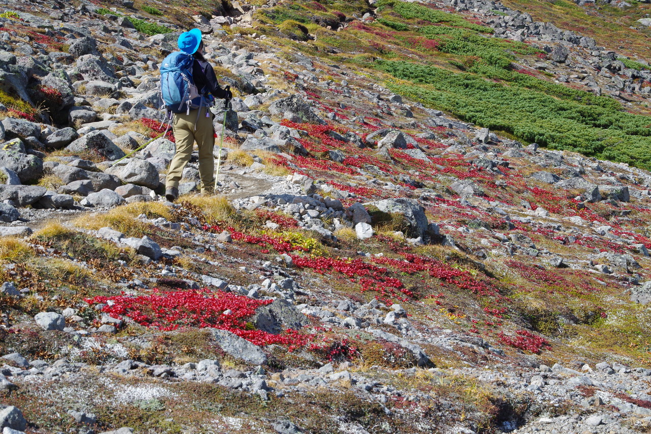 16年9月日 赤岳 白雲岳 北海岳 黒岳周回 新新新新 めざテレ掲示板