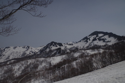 IMGP1868