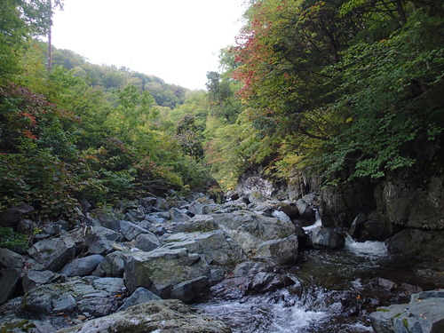 P9270005