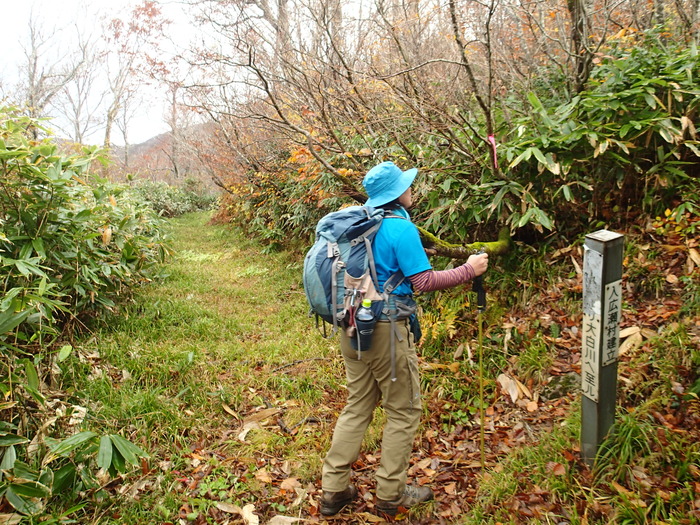 PA281822