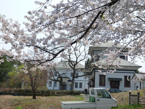 P1010046