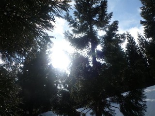 P1010542_R