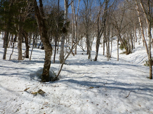 P1040030