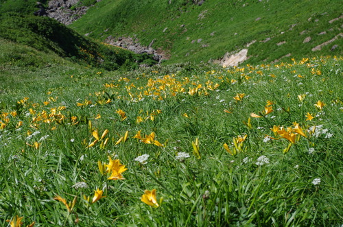 IMGP3557