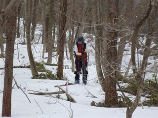 110402_084820_import_R