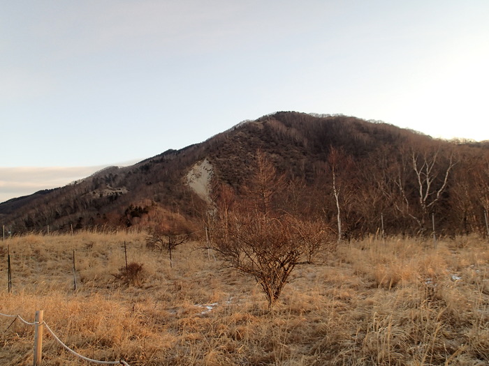 P1123694