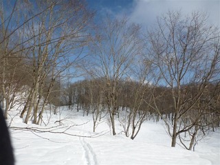 P1010547_R